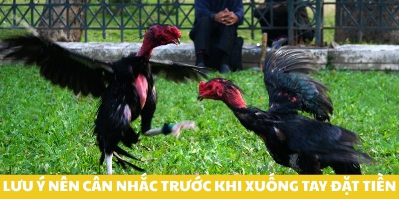 Lưu ý nên cân nhắc trước khi xuống tay đặt tiền